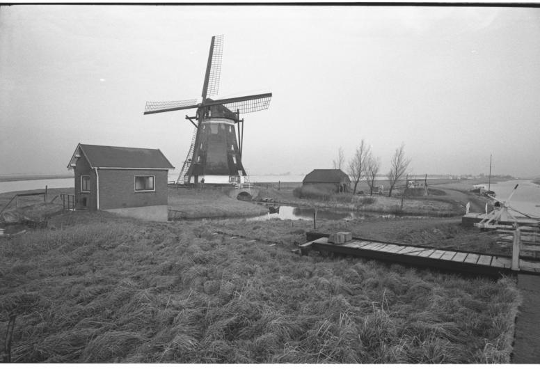 Eendrachtsmolen aan de Rottemeren in 1965. Foto Ary Groeneveld. Collectie 4121, nr. 20032-12-19-01