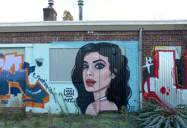 Muurschildering op één van de dichtgetimmerde woningen in de Wielewaal, 12 december 2022. Collectie 4072. Documentnummer 2023-35-195.